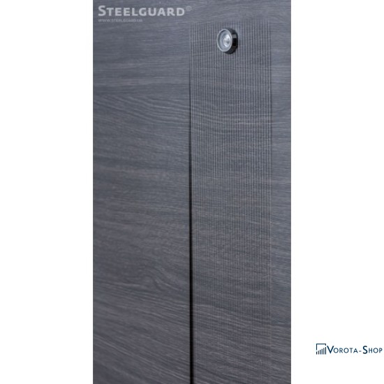 Двери Steelguard Barca
