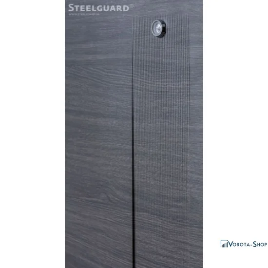 Двери Steelguard Barca