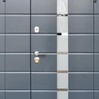 Двери Steelguard REMSA BIG GLASS