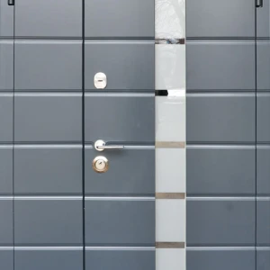 Двери Steelguard REMSA BIG GLASS