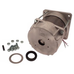 Электродвигатель (мотор) 230В FERNI F1000 CAME 119RID087