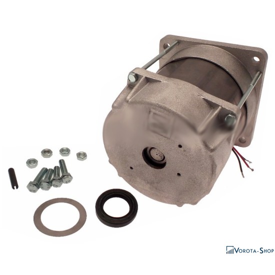 Электродвигатель (мотор) 230В FERNI F1000 CAME 119RID087