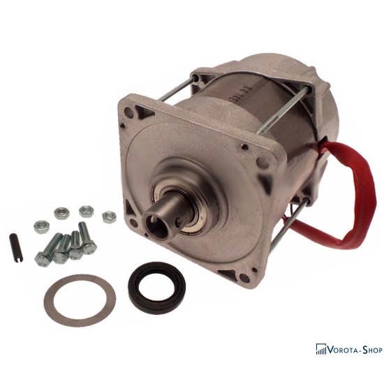 Электродвигатель (мотор) 230В FERNI F1000 CAME 119RID087