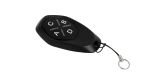 Пульт Gant T4 Copy