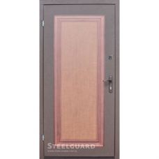 Двери Steelguard 163-2 Tela
