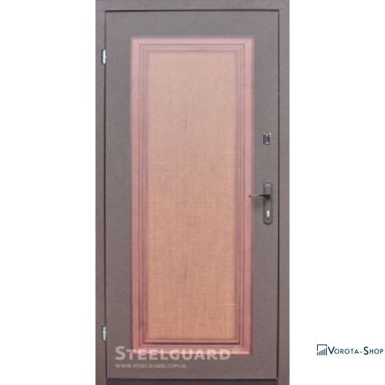 Двері Steelguard 163-2 Tela