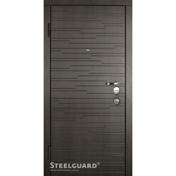 Двері Steelguard Acustica