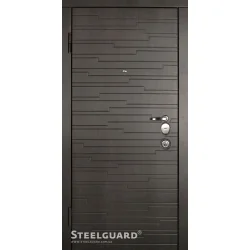 Двері Steelguard Acustica