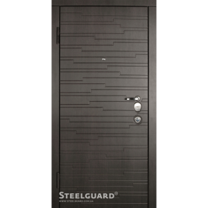 Двері Steelguard Acustica