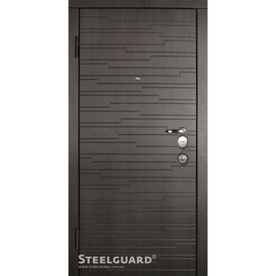 Двери Steelguard Acustica - Фото 1