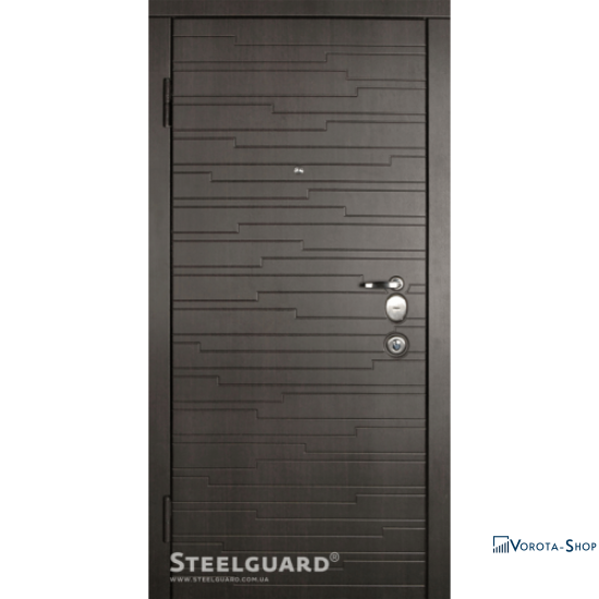 Двері Steelguard Acustica