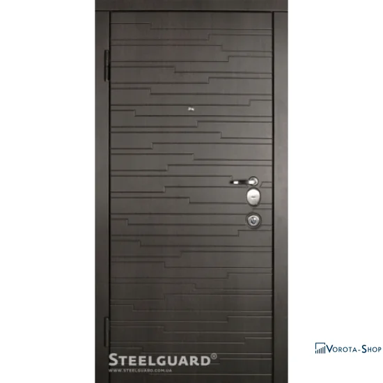 Двері Steelguard Acustica