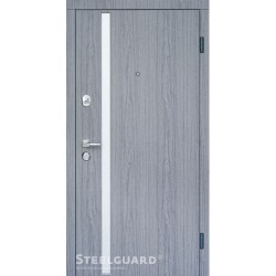Двері Steelguard AV-1 Grey