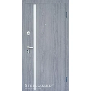 Двери Steelguard AV-1 Grey