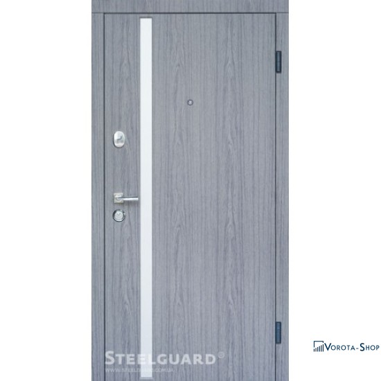 Двері Steelguard AV-1 Grey