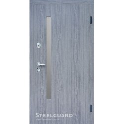 Двері Steelguard AV-1 Grey Glass