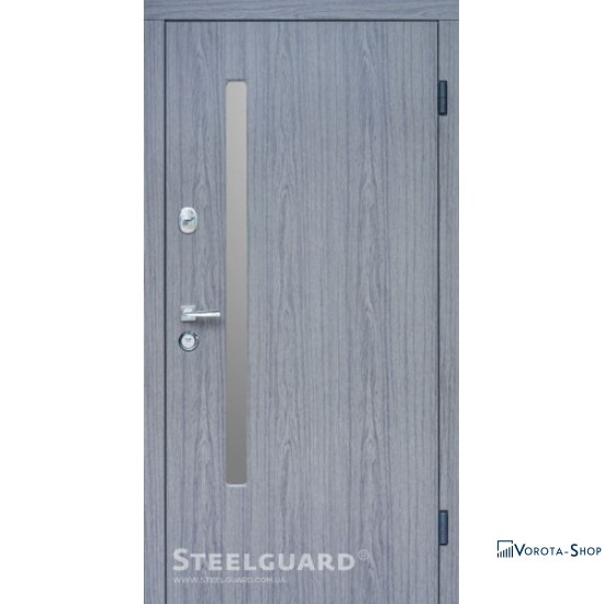 Двері Steelguard AV-1 Grey Glass