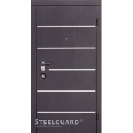 Двері Steelguard AV-5
