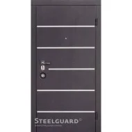 Двері Steelguard AV-5