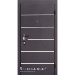 Двері Steelguard AV-5