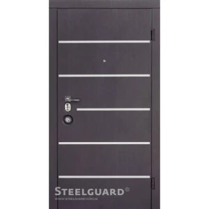 Двери Steelguard AV-5
