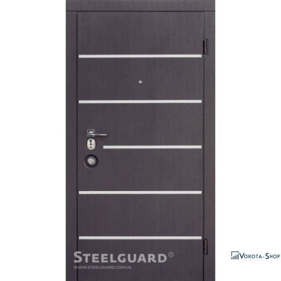 Двері Steelguard AV-5