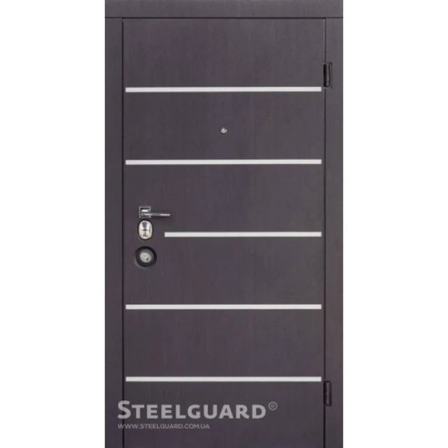Двері Steelguard AV-5