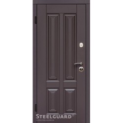 Двері Steelguard Balta