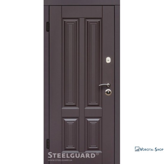 Двері Steelguard Balta