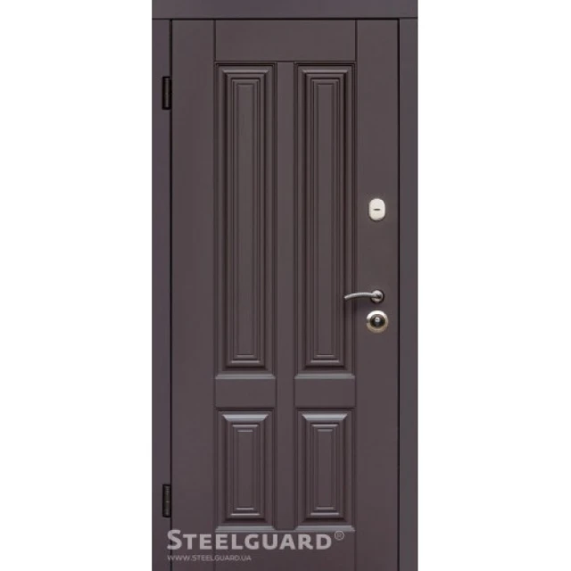 Двері Steelguard Balta