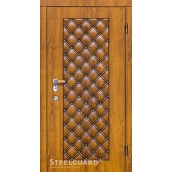 Двері Steelguard Bergamo