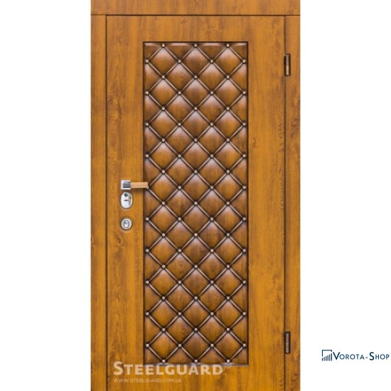 Двері Steelguard Bergamo