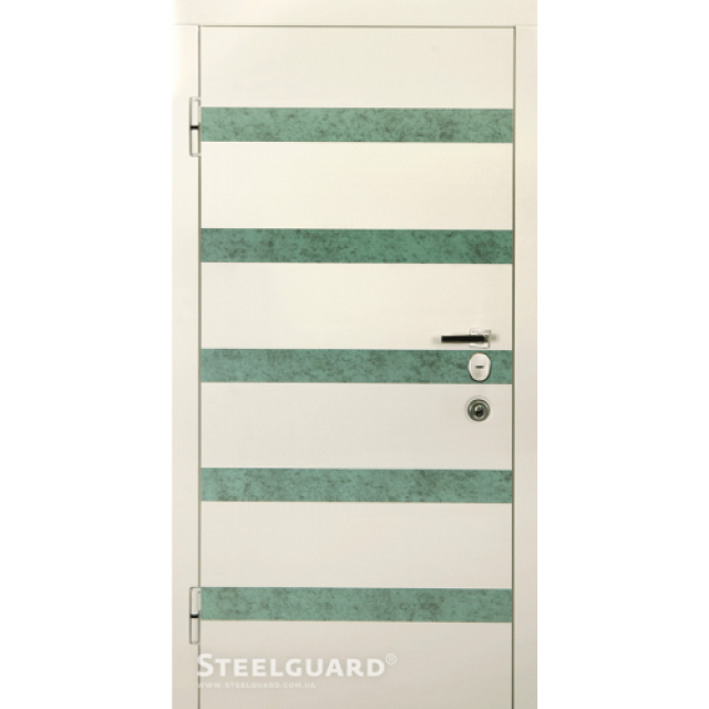 Двері Steelguard Bona