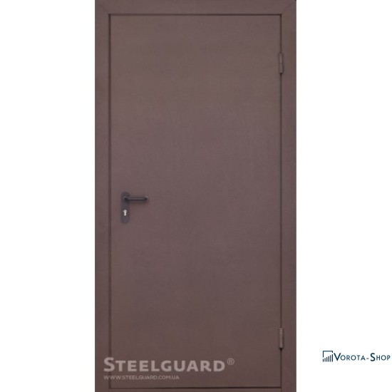 Двері Steelguard Brasa