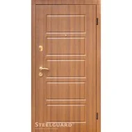 Двери Steelguard DG-21