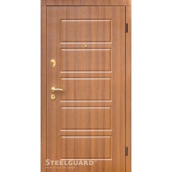 Двері Steelguard DG-21