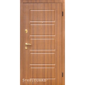 Двери Steelguard DG-21