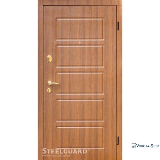 Двери Steelguard DG-21