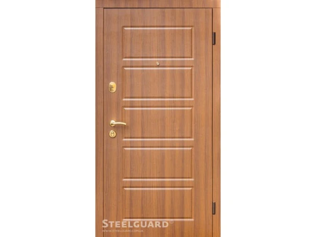 Двери Steelguard DG-21