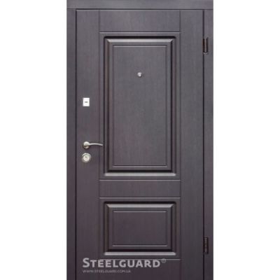 Двери Steelguard DO-30 - Фото 1