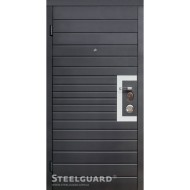 Двері Steelguard Domino