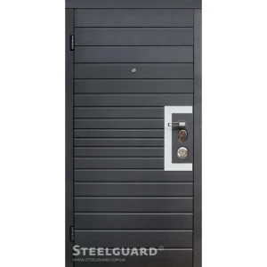 Двері Steelguard Domino