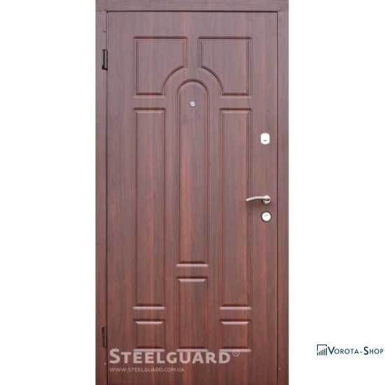 Двері Steelguard DR-27