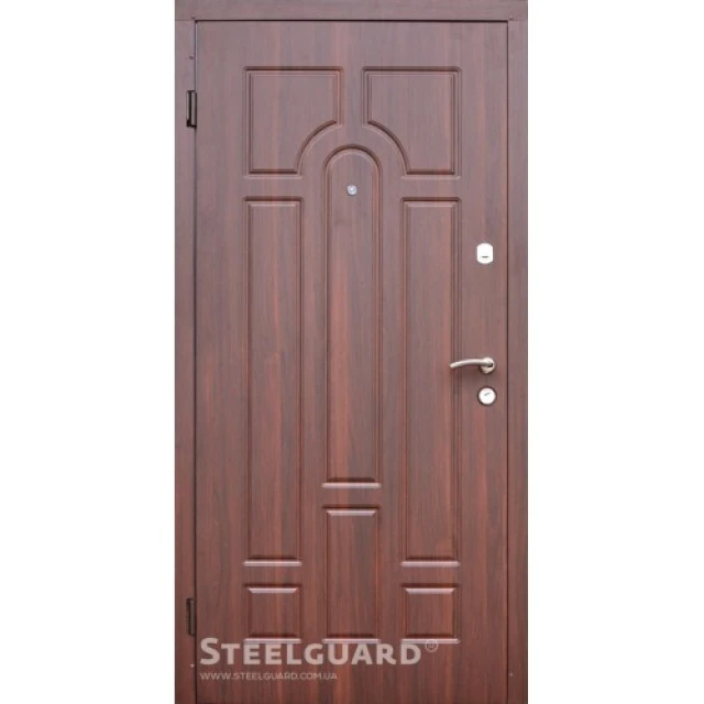 Двери Steelguard DR-27