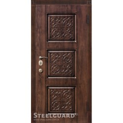 Двері Steelguard Etna