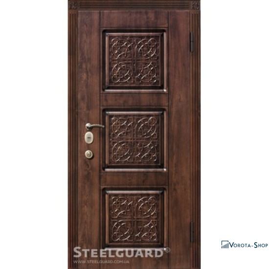 Двері Steelguard Etna