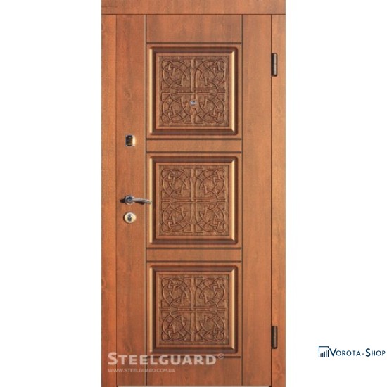 Двері Steelguard Etna Light
