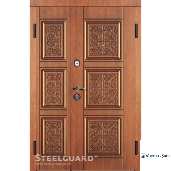 Двері Steelguard Etna light big