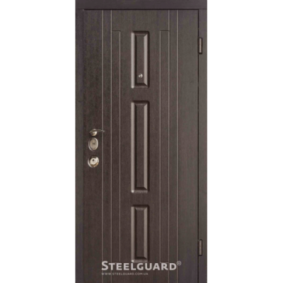 Двери Steelguard Fort - Фото 1
