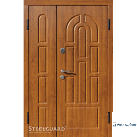 Двері Steelguard Impera big